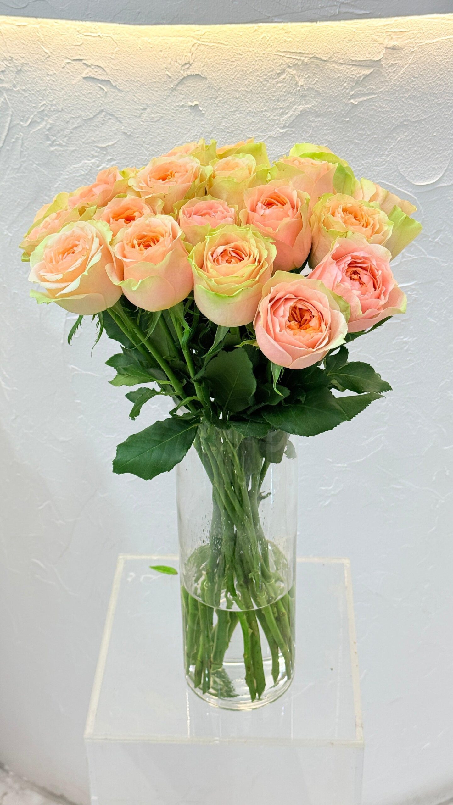 5021493F-C056-4238-BD87-E28924380E2C-scaled-1.jpg Lucky Sweet Pink - Image 1