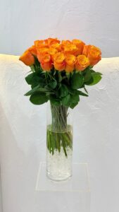 Lucky Orange - Image 2