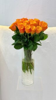 Lucky Orange - Image 2