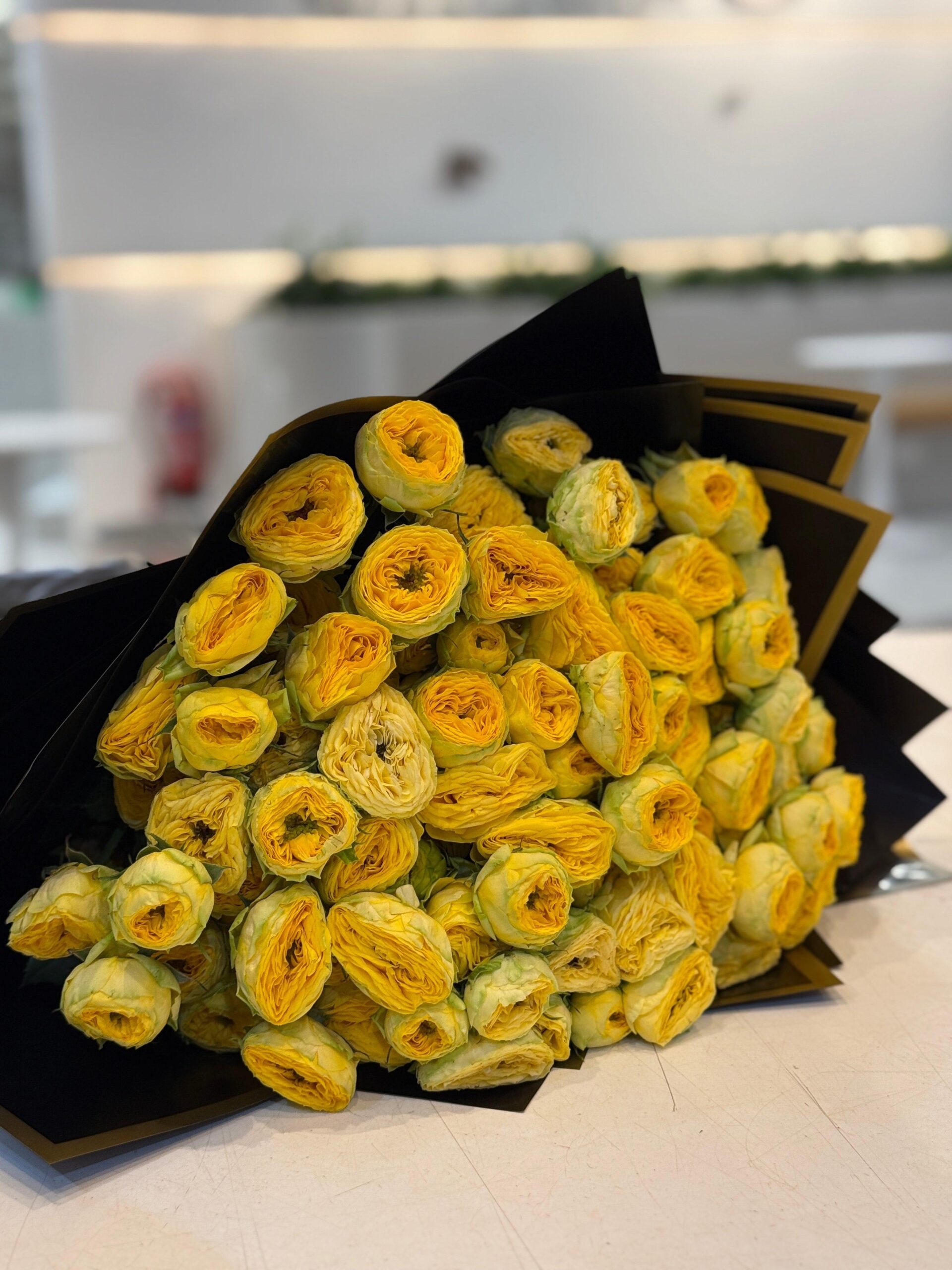 64401149-3898-4403-9EC8-C1C27E353935-scaled-1.jpg Trendsetter - Image 1