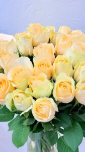 Magic Avalanche - Image 4