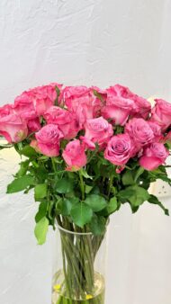 Blush Grace Rose - Image 2