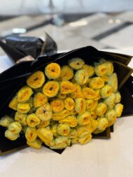 Trendsetter - Image 4