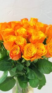 Lucky Orange - Image 3