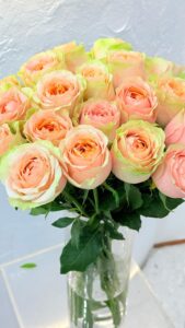 Lucky Sweet Pink - Image 5