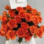 Sunset Ember - Image 4