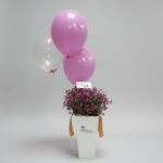 Purple Whisper Wax Flower Box with Balloons