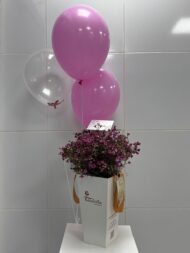 Purple Whisper Wax Flower Box with Balloons - Image 2