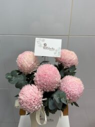 Blush Whisper - Image 3