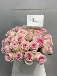Pink Pearl Rose - Image 2