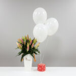 Pure Grace Lily Bundle - Image 1