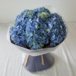 Sapphire Hydrangea Wrap