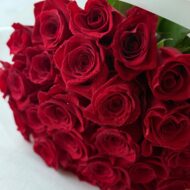 Crimson Royale - Image 2