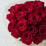 Crimson Royale - Image 4