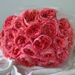 Candy Xpression - Image 2