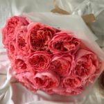 Candy Xpression - Image 3