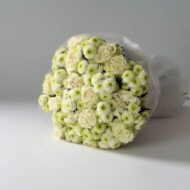 Ivory Serenity - Image 2