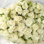 Snow Petal Roses - Image 2