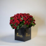 Scarlet Elegance Box