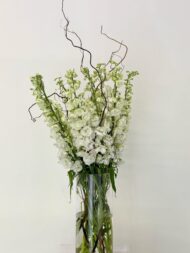 WhatsAppImage2025-04-20at9.26.12PM-scaled-1.jpg Finest White - Image 1