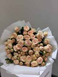 Gentle Whisper - Image 2