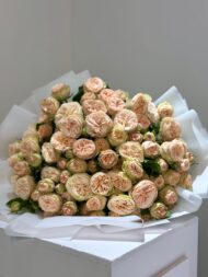 Gentle Whisper - Image 4