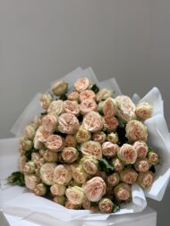 Gentle Whisper - Image 7