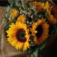 Golden Sunshine - Image 3