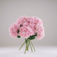 Blush Hydrangea Dream Bouquet - Image 2